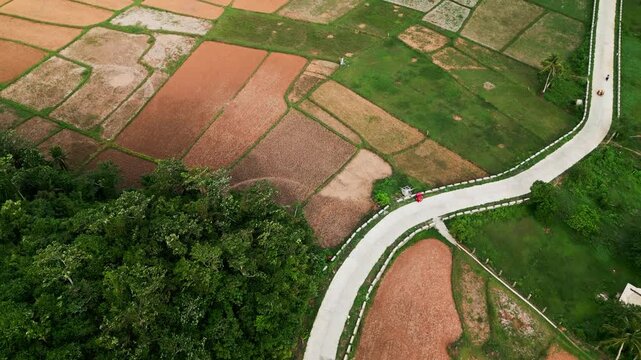 Aerial bird&rsquo;s-eye perspective above a winding rural road and patchwork farmlands - Virac, Catanduanes, Philippines