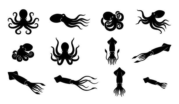 Octopus and squid black silhouette vector set with different marine animal poses