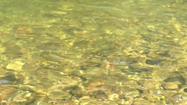 River water ripples making an abstract texture of water in motion, background