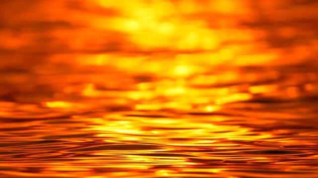 Golden sunlight reflects off flowing lake water during a calm evening sunset. Extreme close up shallow depth of field static shot.