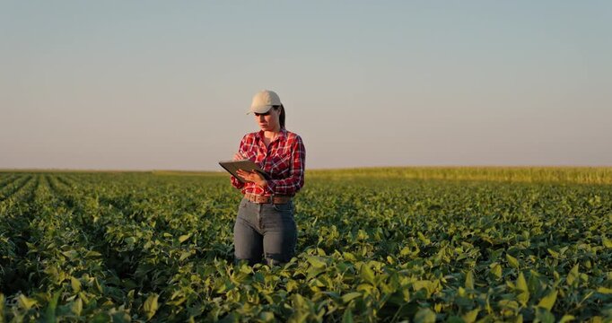 Female farmer using digital tablet for soybean crop analysis in agricultural field