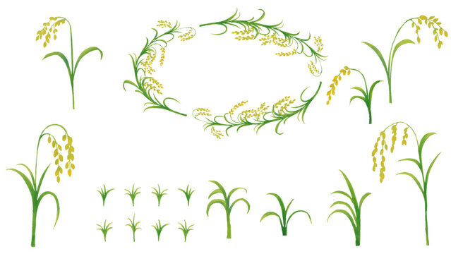 水彩風 稲穂のいろいろセット Autumn Series:Watercolor-style rice stalks as a set