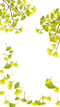 水彩風 新緑のイチョウのフレーム　縦 Spring Series:Watercolor-style frame of fresh green ginkgo leaves