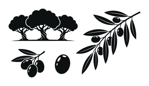 Olive trees and branches silhouettes for mediterranean nature design.