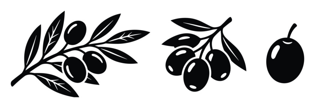 Olive branch and single olive silhouettes for mediterranean design.