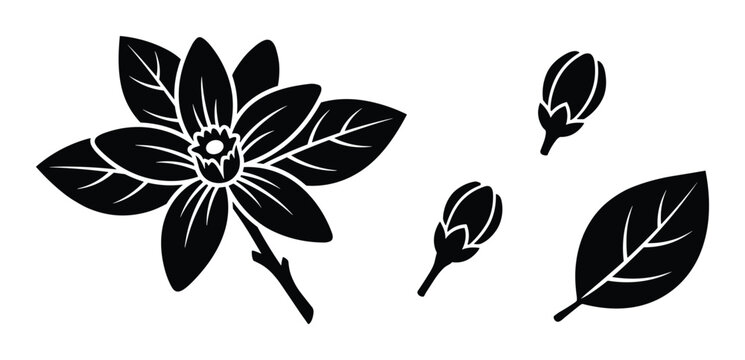 Flower blossom buds and leaf silhouettes for spring nature design.