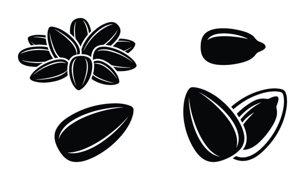 Sunflower seeds pile and individual seeds on transparent background.