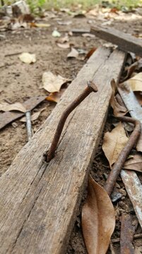 Oxidized metal hazard: iron corrosion, tetanus germ, wound infection, bacterial pathogen, muscle stiffen, lockjaw ailment, dirty ground, health risk.