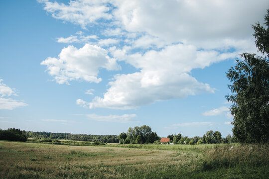 An open rural meadow with distant trees and a small red-roofed house under dramatic white clouds and a blue summer sky.