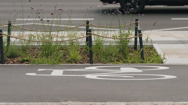 Cyclist riding along designated bike lane in modern city, close-up view of bicycle crossing white bicycle lane marking and road symbol, urban cycling infrastructure and sustainable transportation