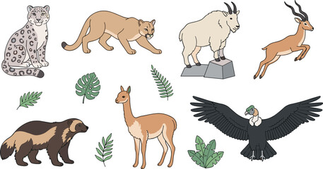 Naklejka premium Mountain Wildlife and Alpine Animal Collection Featuring Snow Leopard Cougar Mountain Goat Gazelle Wolverine Vicuna Condor Bird and Tropical Fern Leaves Vector Illustration