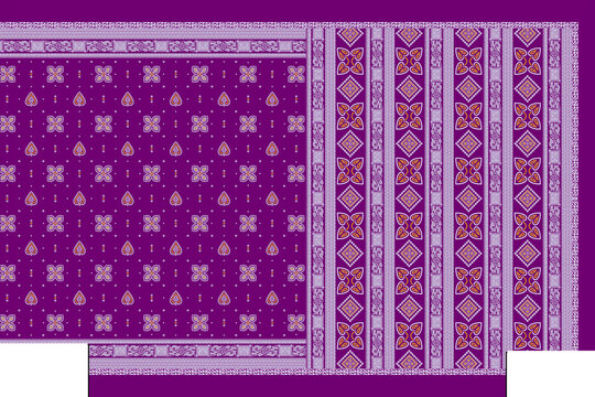 Traditional Indian Saree Layout with Ethnic Decorative Patterns and Ornate Galo Pallav Border Textile Print
