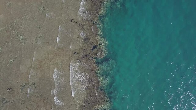 Cinematic drone top down vertical aerial shot of turquoise clear sea water and coral reef coast in NEOM Saudi Arabia