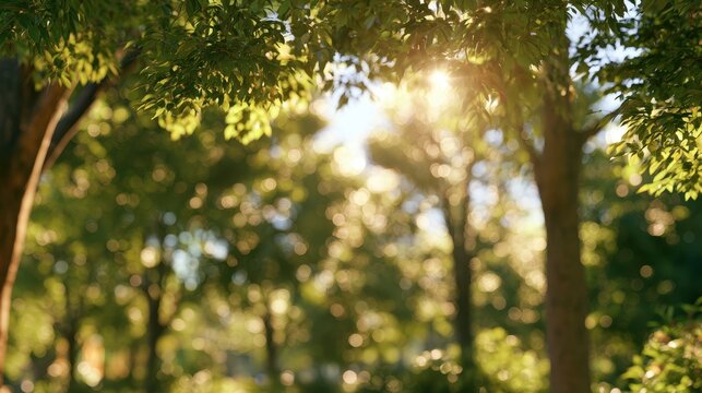Bright greenery backdrop featuring blurred treetops and warm light