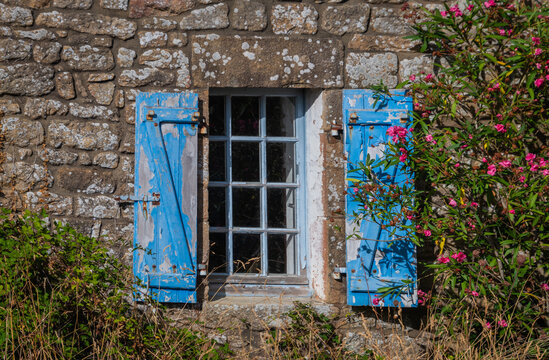 abstract detail of old window with blue shutters and rose flowers