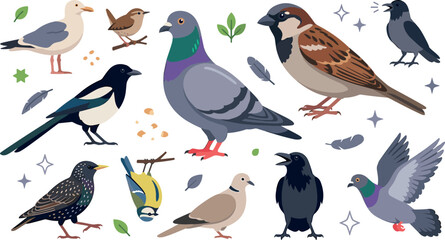 Obraz premium Common City Birds Vector Icon Collection Featuring Flat Pigeon, Sparrow, Seagull, Magpie, Crow, and Starling Illustrations for Urban Wildlife Nature Graphic Designs