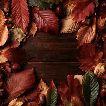 Colorful autumn leaves surround a wooden table displaying the change of seasons