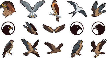 Fototapeta premium Eagle and Hawk Vector Mascot Asset Pack Featuring Flying Falcon, Kestrel, Osprey Icons, Wings, and Bird of Prey Logos for Sports Team and Wild Nature Graphic Designs