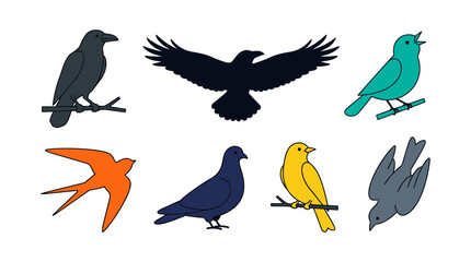 Obraz premium Birds Collection with Diverse Species, Perched and in Flight, Showcasing Vibrant Colors and Unique Silhouettes.