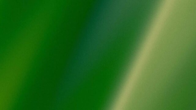Green gradient background with grainy texture and soft diagonal light ray