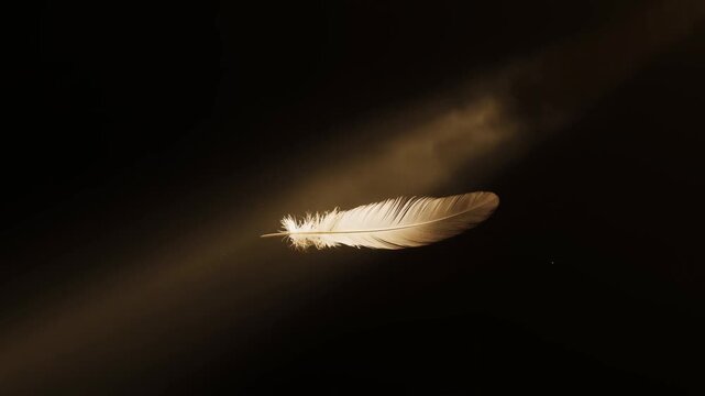 Single White Feather Illuminated by Warm Golden Light Against a Dark Background