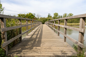 Obraz premium Perspective view of a wooden bridge in a nature area with water, landscape