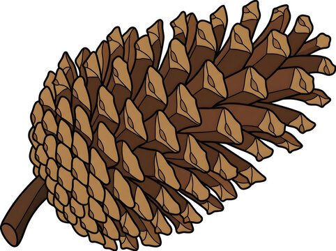 Detailed vector pinecone illustration, autumn coniferous pine cone icon