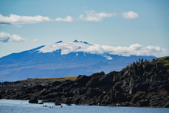 Observers of seals basking on Ytri Tunga beach.