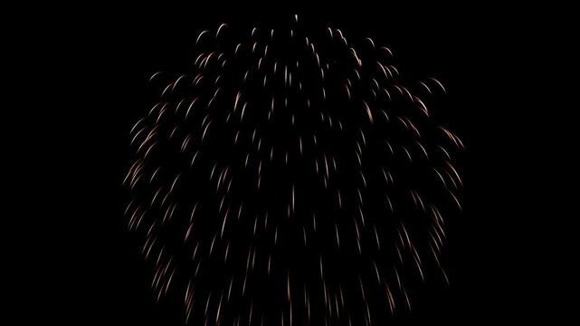 Firework Burst with Glowing Orange Trail Against Black Night Sky Celebratory Display