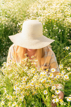 Blonde woman in wide-brimmed straw hat sits among daisies, her face hidden by brim of her hat, holding bouquet of daisies in soft sunlight. Women's mental health, natural beauty, hormonal balance
