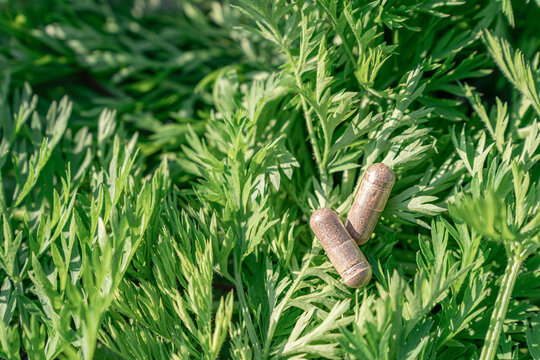 Herbal capsules providing natural alternative medicine, wellness, and organic healthcare solution from plant-based ingredients