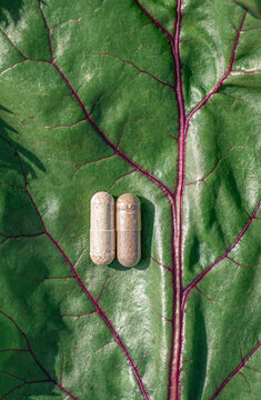 Close-up of vegan capsules containing plant powder resting on green beet leaf with burgundy veins resembling blood vessels. Concept for natural supplements for hematopoiesis, anemia treatment