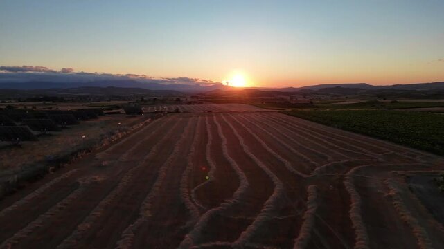 Aerial view of harvested wheat field with straw windrows at sunset and sideways drone movement