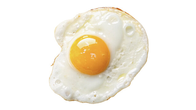 Perfect single fried egg sunny side up breakfast protein isolated on transparent background