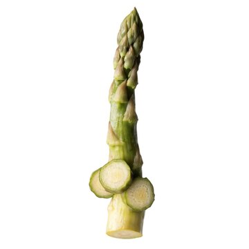 Vegetable