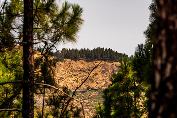 Paisaje en un área recreativa de Gran Canaria. © CarlosHerreros
