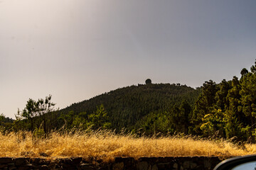 Paisaje en un área recreativa de Gran Canaria. © CarlosHerreros