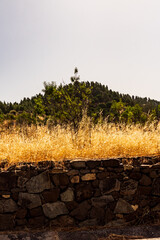 Paisaje en un área recreativa de Gran Canaria. © CarlosHerreros