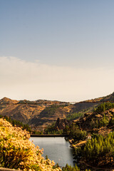 Paisaje en un área recreativa de Gran Canaria. © CarlosHerreros