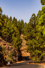 Paisaje en un área recreativa de Gran Canaria. © CarlosHerreros