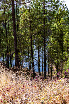 Paisaje en la isla de Gran Canaria.