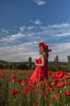 Young woman wearing red floral wreath of Papaver rhoeas standing in sunset spring meadow