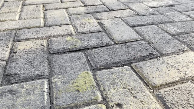 Close up of wet grey interlocking pavers stone with sun reflection
