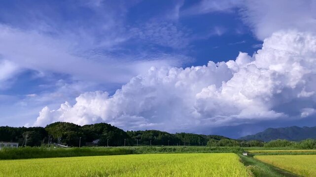 Summer Clouds Over Rice Fields &ndash; 4K Timelapse-seen1
