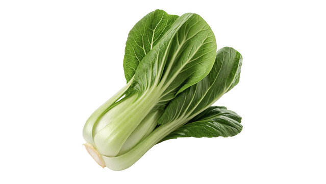 Fresh green bok choy pak choi Chinese cabbage vegetable isolated on transparent background