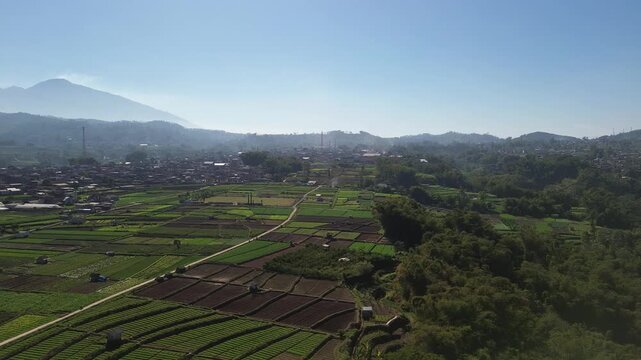 Aerial drone footage of rural village and green vegetable farmland with Mount Panderman background in Pujon, Malang