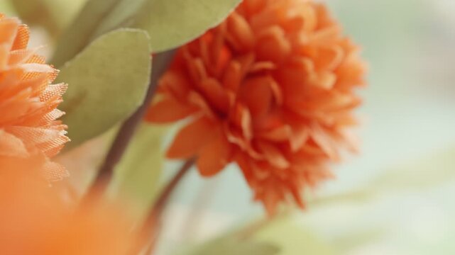 Fake plastic autumn fall flowers macro close up presentation slowly rotating stock footage