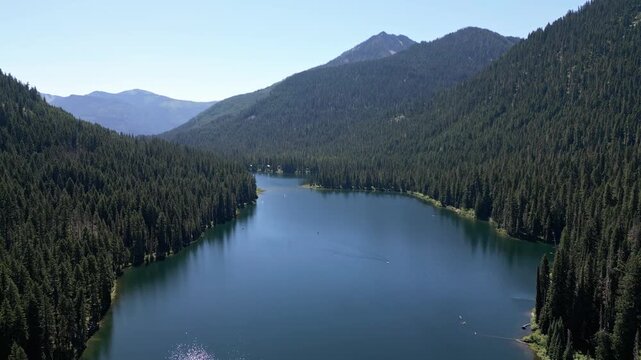 Forest nature landscape. Lake in scenic nature. Aerial scenic nature with forest lake. Evergreen forest. Wilderness and adventure at forest. Lake with green landscape. Travel destination