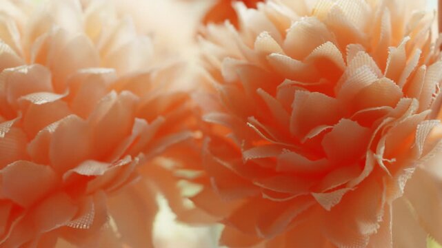 Fake plastic autumn fall flowers macro close up presentation slowly rotating stock footage