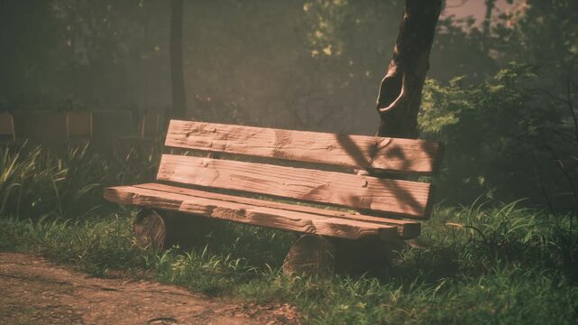 A rustic wooden bench sits quietly along a winding path in a peaceful park. Soft light filters through the trees, casting gentle shadows on the vibrant grass and foliage.
